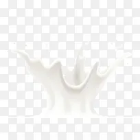 白色奶花-空若网 白色奶花-空若网