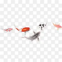 ��ɫ���չŷ����-������