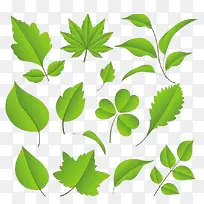 树叶矢量素材-空若网 树叶矢量素材-空若网