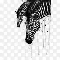 ����ˮī���ز�-������