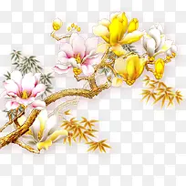 玉兰花-空若网 玉兰花-空若网