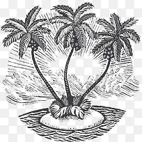 槟榔树特写-空若网 槟榔树特写-空若网