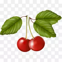 樱桃浆果水果食品-樱桃-空若网 樱桃浆果水果食品-樱桃-空若网