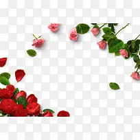 õ�屳���ز�-������