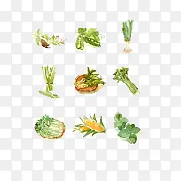 手绘蔬菜-空若网 手绘蔬菜-空若网