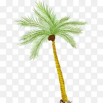 彩铅槟榔树-空若网 彩铅槟榔树-空若网