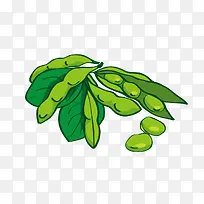 手绘毛豆-空若网 手绘毛豆-空若网