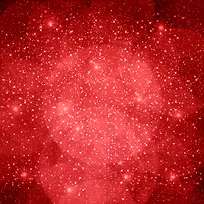 ��ɫ�����µ�ѩ����-������