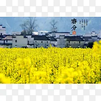 Ψ�������Ͳ˻���Ӱͼ-������