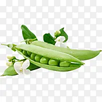 绿色新鲜豌豆豆角蔬菜-空若网 绿色新鲜豌豆豆角蔬菜-空若网