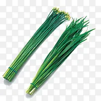 �߲˾²�-������