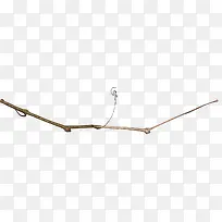 棕色树枝-空若网 棕色树枝-空若网