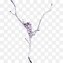 干枝免抠素材-空若网 干枝免抠素材-空若网