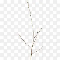 ϸ֦װ���ز�-������