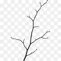 枯枝素材图片-空若网 枯枝素材图片-空若网