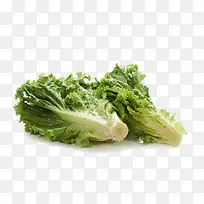 蔬菜奶油生菜-空若网 蔬菜奶油生菜-空若网