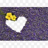 Þ¹ÒÂ²ÝÆ´³ÉµÄÐÄ-¿ÕÈôÍø Þ¹ÒÂ²ÝÆ´³ÉµÄÐÄ-¿ÕÈôÍø