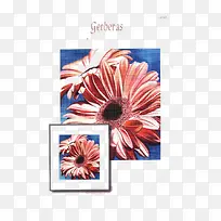 创意花朵照片-空若网 创意花朵照片-空若网