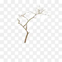 手绘树-空若网 手绘树-空若网