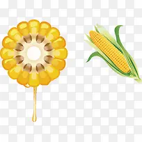 美味玉米-空若网 美味玉米-空若网