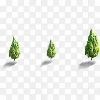 绿树景观树影清新-空若网 绿树景观树影清新-空若网