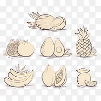 热带水果-空若网 热带水果-空若网