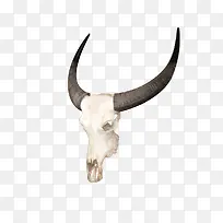 骨头元素-空若网 骨头元素-空若网