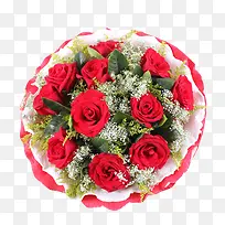 红玫瑰-空若网 红玫瑰-空若网