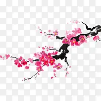 冬季矢量雪梅花素材-空若网 冬季矢量雪梅花素材-空若网