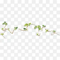 绿色清新树枝造型-空若网 绿色清新树枝造型-空若网