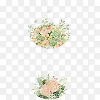 荷花-空若网 荷花-空若网