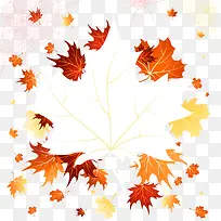 ��Ҷ�߿�ʸ���ز�-������