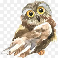 ˮ��дʵèͷӥ-������