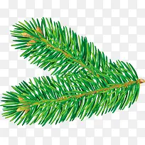 ��ɫʥ��������֦-������