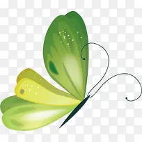 绿色蝴蝶-空若网 绿色蝴蝶-空若网