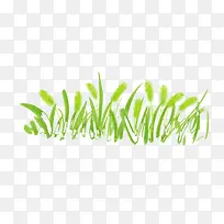 狗尾巴草素材-空若网 狗尾巴草素材-空若网