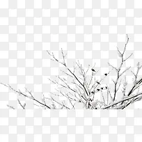 ¹ÒÑ©Ê÷Ö¦ÂéȸÃâ¿ÙËØ²Ä-¿ÕÈôÍø ¹ÒÑ©Ê÷Ö¦ÂéȸÃâ¿ÙËØ²Ä-¿ÕÈôÍø