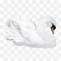 ��-������