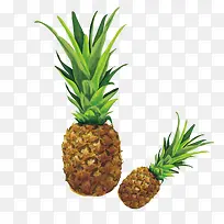 矢量手绘菠萝-空若网 矢量手绘菠萝-空若网