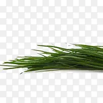 绿色韭菜-空若网 绿色韭菜-空若网