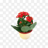 ���ز�ͼƬ-������