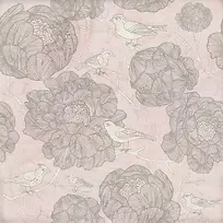 С�񻨶�ͼ������-������