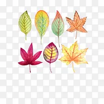 ˮ��������Ҷ��Ҷ-������