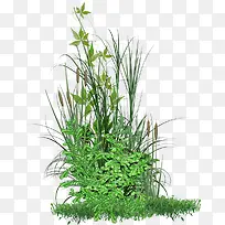 绿色清新小草装饰图案-空若网 绿色清新小草装饰图案-空若网