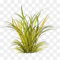 黄色简约小草装饰图案-空若网 黄色简约小草装饰图案-空若网