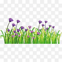 小草鲜花-空若网 小草鲜花-空若网