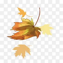 矢量落叶-空若网 矢量落叶-空若网