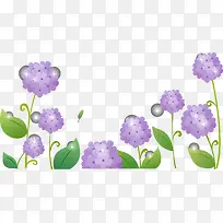 紫色花卉-空若网 紫色花卉-空若网