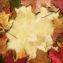 树叶背景-空若网 树叶背景-空若网