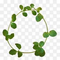 花卉边框矢量素材花草素材-空若网 花卉边框矢量素材花草素材-空若网